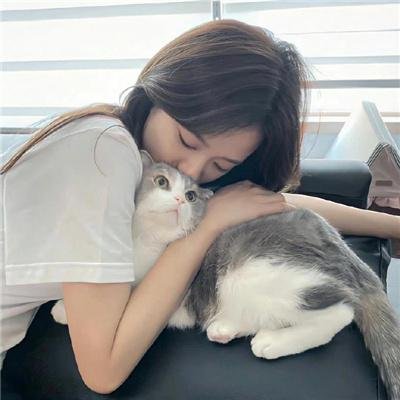 会考试的猛犸象
