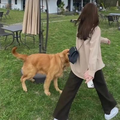 舞会